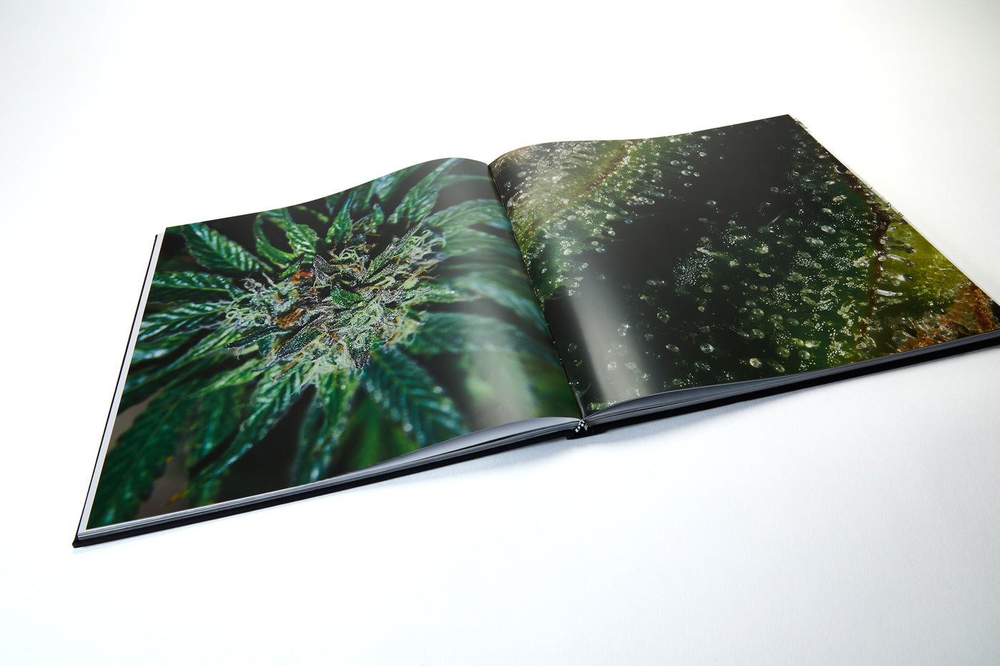 Weed Book